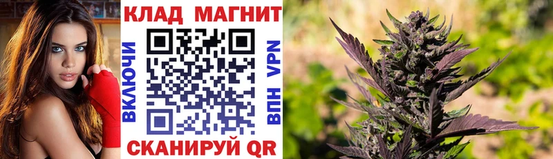 Какие есть наркотики Улан-Удэ Псилоцибиновые грибы  МАРИХУАНА  Меф мяу мяу  Альфа ПВП  ТГК  COCAIN  ГАШ 