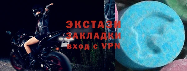 хмурый Верея