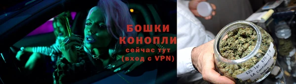 хмурый Верея