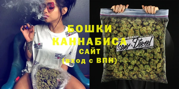 хмурый Верея