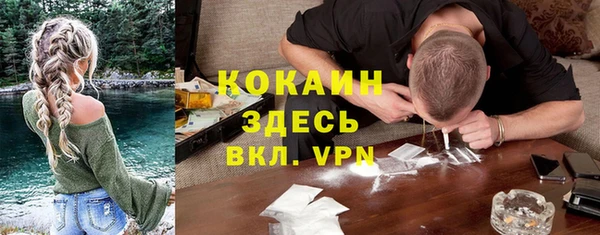 хмурый Верея