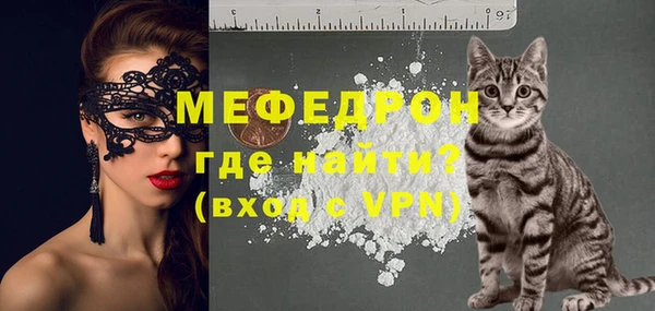 хмурый Верея