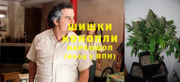 хмурый Верея