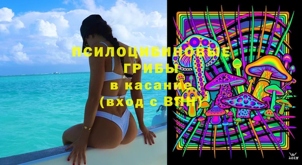 хмурый Верея